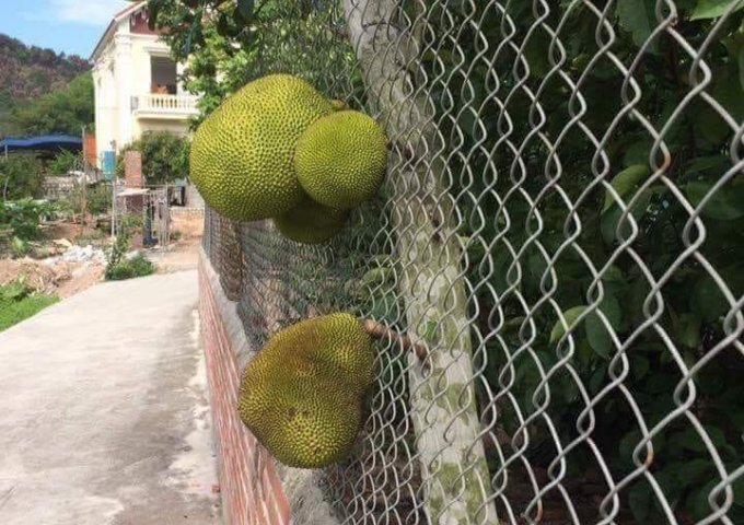 Bán nhà hẻm thông 6m Số 47/1a nguyễn Văn Săng, Tân Sơn Nhì, Tân Phú