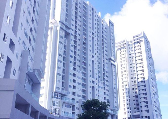 Cho thuê căn hộ chung cư tại Vũng Tàu, Bà Rịa Vũng Tàu