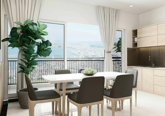 Cho thuê căn hộ chung cư tại Vũng Tàu, Bà Rịa Vũng Tàu