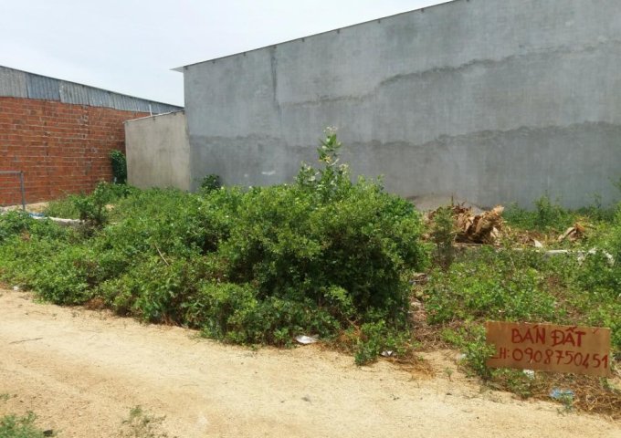 Bán đất tại phường Mỹ Bình, Phan Rang - Tháp Chàm, Ninh Thuận, DT 100m2, giá 150 triệu