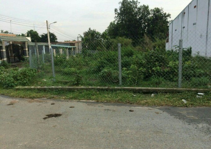 Cần bán đất thổ cư 100% chính chủ mặt tiền Ấp Chánh 16, Tân Xuân, Hóc Môn