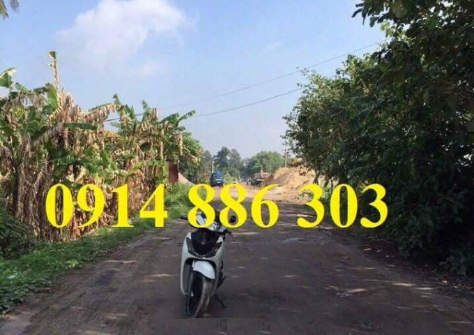 Bán đất mặt tiền sông Sài Gòn, quận 12 diện tích 12x23m, giá chỉ 6.8 tỷ. LH 0914 886 303