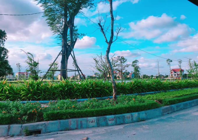 Bán đất khu ĐT Thăng Long khu A và khu B, Phố Nối, Hưng Yên