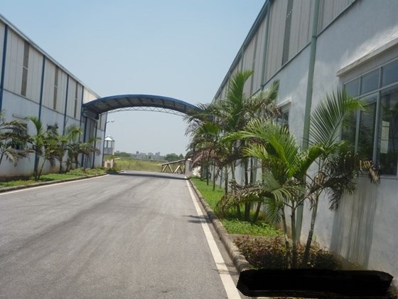 Cho thuê kho xưởng DT 6000m2, KCN Tân Hồng, Từ Sơn, Bắc Ninh