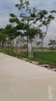 Bán đất nền dự án tại Xã Phong Phú, Bình Chánh, Hồ Chí Minh diện tích 100m2 giá 1.5 Tỷ