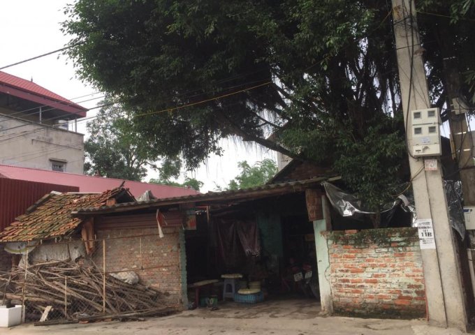 Bán đất tại Hương Gia, Phú Cường, Sóc Sơn, Hà Nội diện tích 225m2 giá 10 Triệu/m²