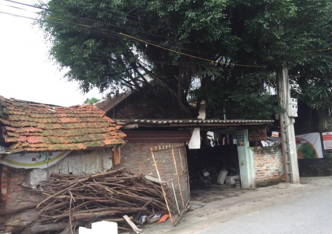 Bán đất tại Hương Gia, Phú Cường, Sóc Sơn, Hà Nội diện tích 225m2 giá 10 Triệu/m²