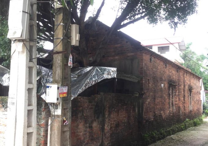 Bán đất tại Hương Gia, Phú Cường, Sóc Sơn, Hà Nội diện tích 225m2 giá 10 Triệu/m²