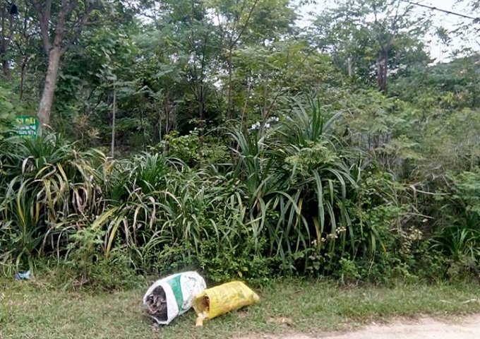 Bán đất mặt tiền đường Vân Dương, Phú Bài