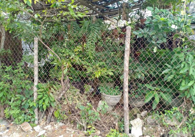 Đất vuông vắn đường Nguyễn Chí Thanh, phường Phú Hậu, TP Huế, hướng Bắc, DT 100m2