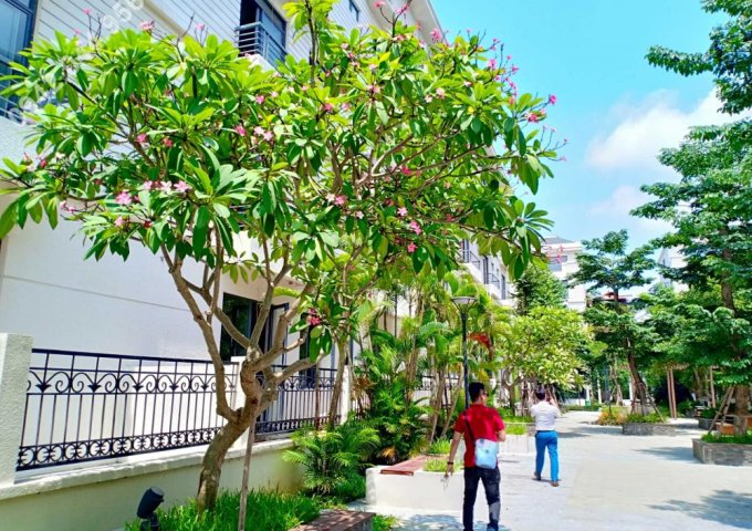 Bán biệt thự vườn Nguyễn Trãi 7m x 21m, 5 tầng, SĐCC, thuận tiện ở, làm văn phòng. 0942044956