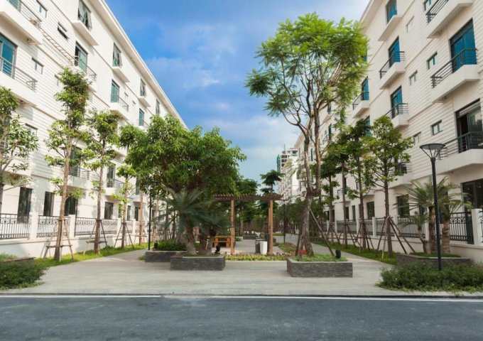 Biệt thự vườn Pandora Thanh Xuân chỉ 14.5 tỷ không gian sống đẳng cấp, bốc thăm 4 căn hộ, CK 3%