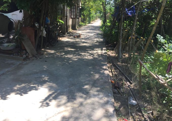 Bán nhanh lô đất thôn Nam Sơn, xã Hòa Tiến, Đà Nẵng