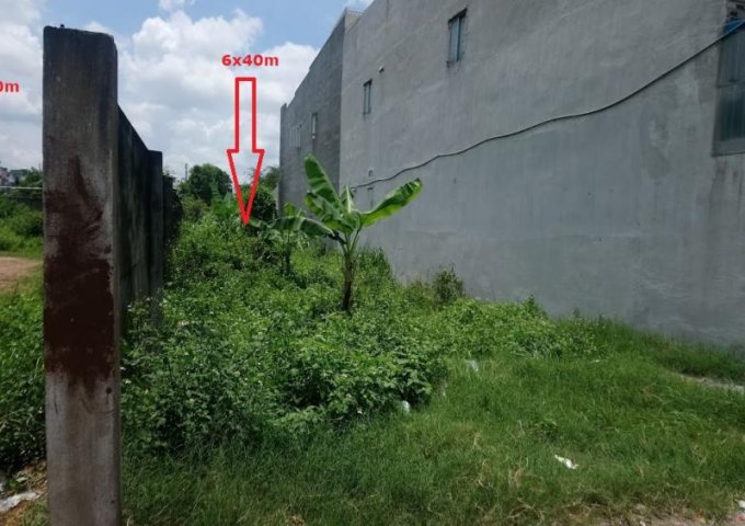 Bán lô đất đường hẻm 17 Ấp Chiến Lược, Tân Kỳ Tân Quý, Bình Hưng Hòa A, Bình Tân, 2 MT