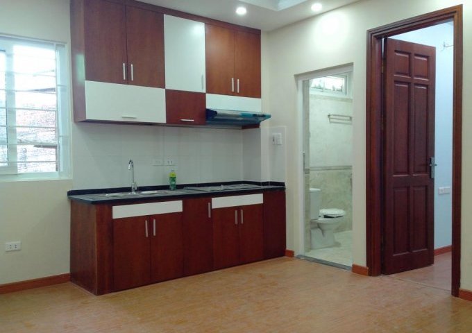 Cho thuê chung cư mini đường Lương thế Vinh