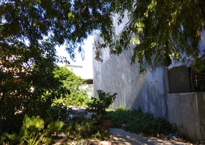 💙 Đất trung tâm tp Huế đường Hoàng Văn Thụ gần hồ Trái Tim 123m2 mặt tiền 5,5m