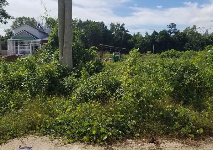 Bán đất tại Dự án Ocean Land 3, Cây Thông Ngoài, xã Cửa Dương,  Phú Quốc,  Kiên Giang