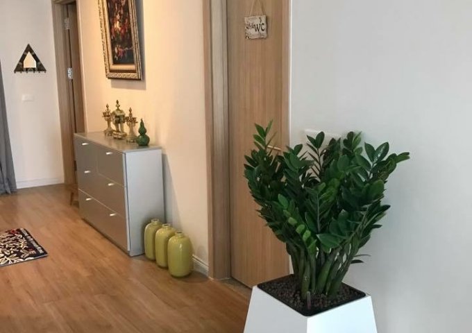 Cho thuê mấy căn hộ Mipec 86m2, 85m2