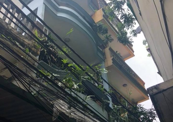 Bán nhà ngõ 27 Cát Linh nở hậu, gần MP, ngõ đẹp 2 mặt thoáng. 45m2, 4T, MT 5.2m chỉ 4.5 tỷ