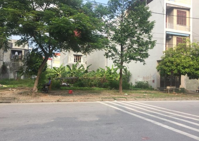 Biệt thự Đại Hoàng Long 270m2, mặt tiền 15m, nhỉnh 4 tỷ