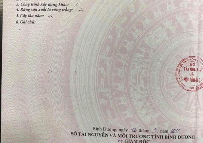 Bán đất ngay cổng sau khu du lịch Đại Nam, phường Hiệp An, Thủ Dầu Một, Bình Dương, giá rẻ