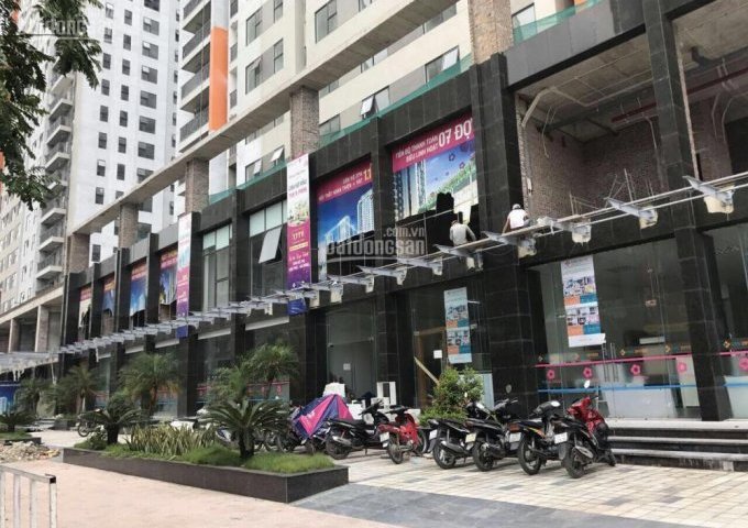 Chính chủ cho thuê shophouse The K Park Văn Phú, Hà Đông, LH 0338861984