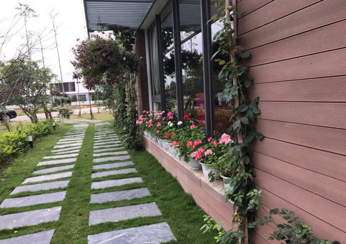 Bắn cắt lỗ 13.8 tỷ còn 12 tỷ, biệt thự Hoàng Anh E5, Flamingo Đại Lải, Vĩnh Phúc