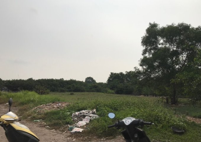 Bán gấp 2520m2 đất vườn xã Vĩnh Lộc B, Bình Chánh, cách mặt tiền Võ Văn Vân khoảng 900m, 2 xẹc