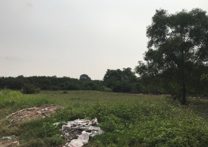 Bán gấp 2520m2 đất vườn xã Vĩnh Lộc B, Bình Chánh, cách mặt tiền Võ Văn Vân khoảng 900m, 2 xẹc