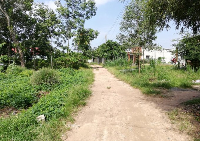 Đất thổ cư giá rẻ tại KCN Thành Thành Công, Trảng Bàng, Tây Ninh