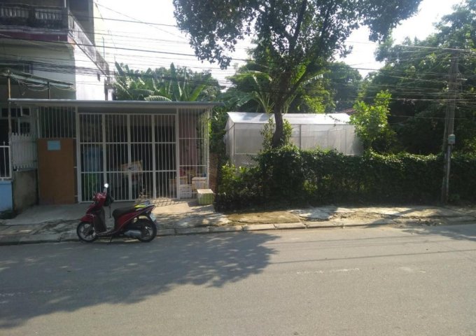 Bán đất mặt tiền Trần Nguyên Đán Thừa Thiên Huế