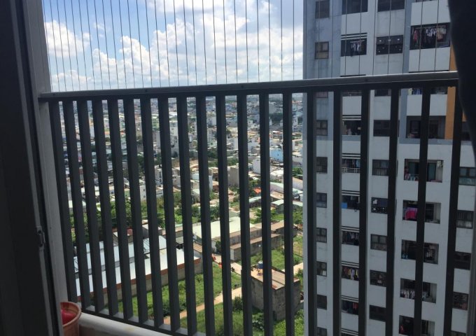 Cần cho thuê căn hộ chung cư cao cấp An Gia Star