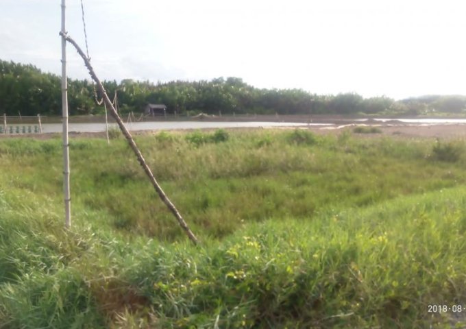 Cần bán đất mặt tiền Phà Doi Lầu, Cần Giờ, TPHCM. Diện tích 1,8ha, giá 1,6 tr/m2