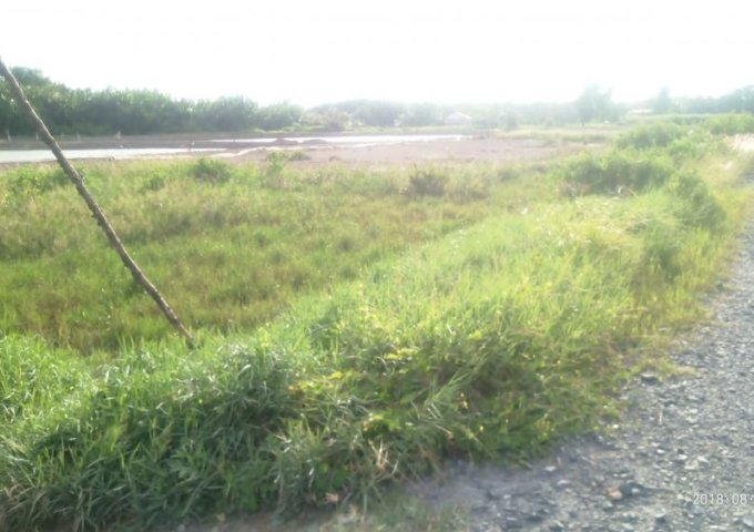 Cần bán đất mặt tiền Phà Doi Lầu, Cần Giờ, TPHCM. Diện tích 1,8ha, giá 1,6 tr/m2