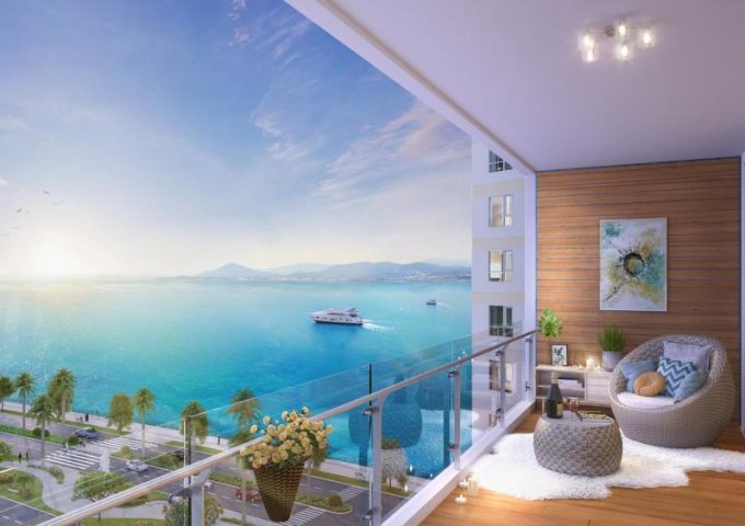 Bán Penthouse Chung Cư Doji Hạ Long- The Sapphire Residence