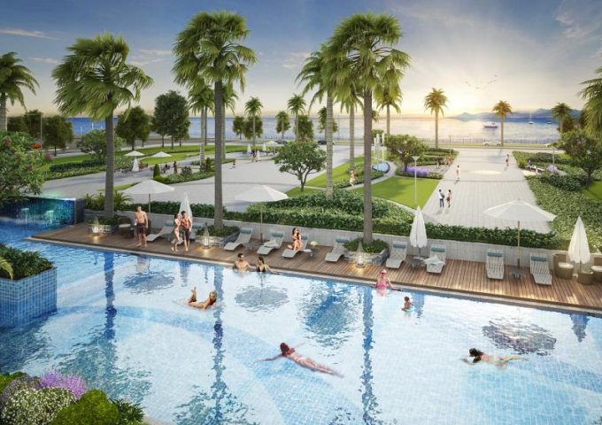 Bán Penthouse Chung Cư Doji Hạ Long- The Sapphire Residence