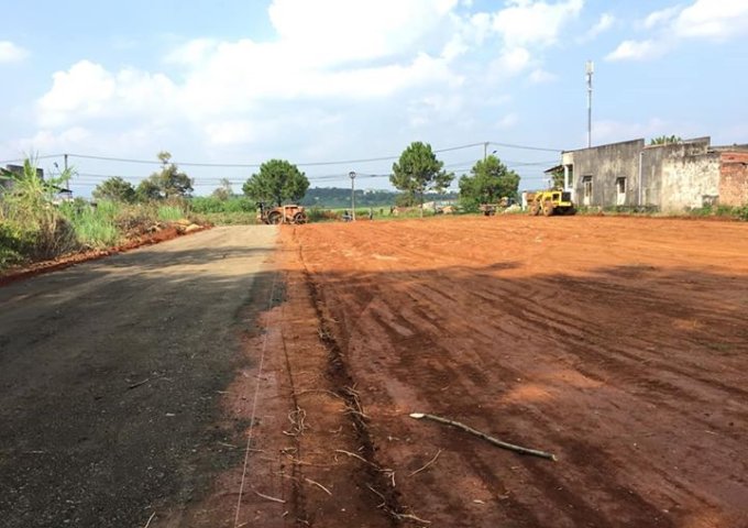 Bán đất mặt tiền đường vành đai Lý Thường Kiệt, Plei Ku, Gia Lai
