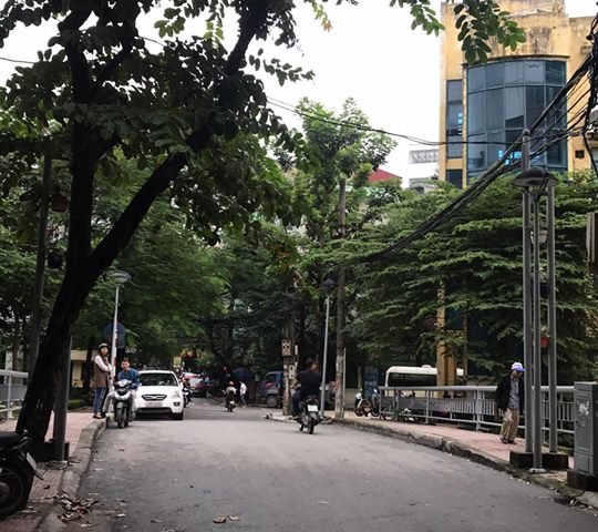 Bán đất mặt phố Lạc Chính, phường Trúc Bạch, Ba Đình, Hà Nội