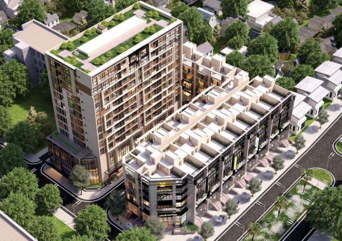 83 Hào Nam- The Terra, suất ngoại giao