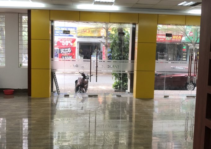 Cho thuê biệt thự BT01 khu ĐT Văn Khê, Hà Đông