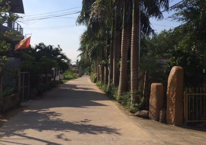 Bán đất đường Lê Hồng Phong Phường Phú Thọ Tp Thủ Dầu Một.