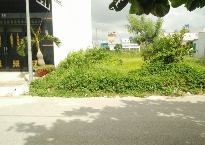 Bán lô đất đường D11 khu dân cư Long Hậu Nam Sài Gòn ngay KCN Long Hậu, tỉnh Long An