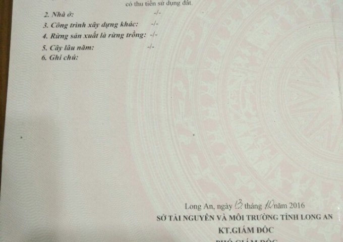 Bán lô đất đường D11 khu dân cư Long Hậu Nam Sài Gòn ngay KCN Long Hậu, tỉnh Long An