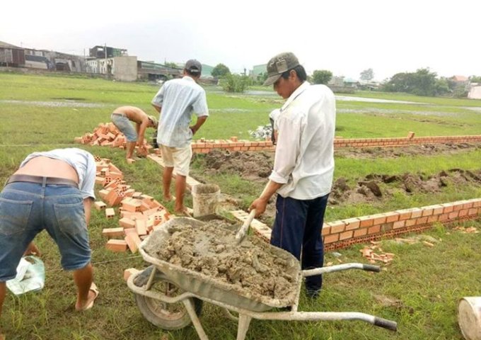 Bán đất ở ngã tư Toàn Trung, Ấp 6, xã Vĩnh Lộc B, Bình Chánh