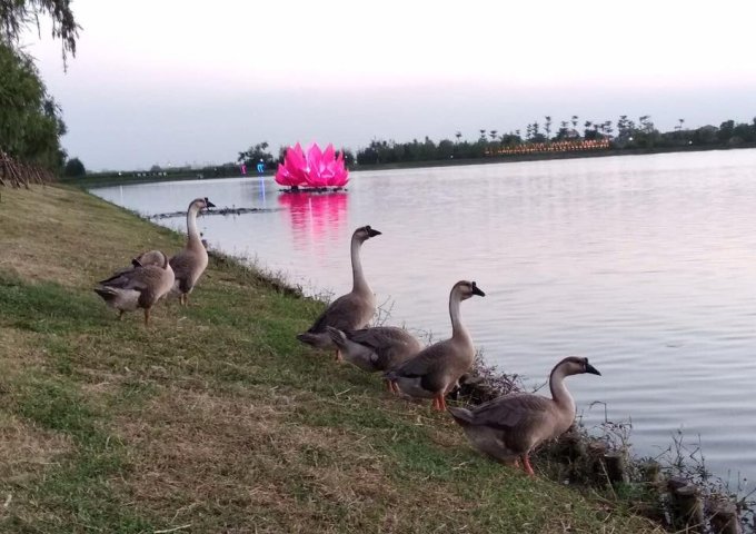 dự án centa city - Vsip - Thủy Nguyên - Hải Phòng