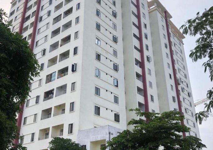 Chung Cư Từ Sơn - Bắc Ninh