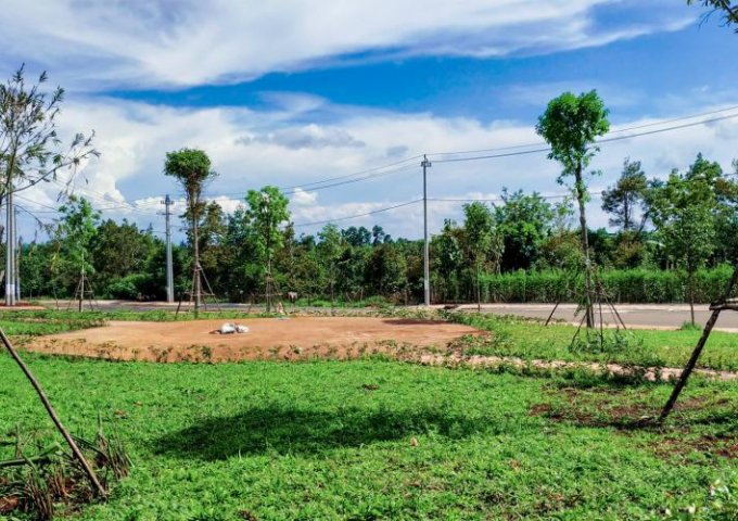 Bán đất tại Dự án Buôn Hồ Central Park, Buôn Hồ,  Đắk Lắk diện tích 148.54m2  giá 730 Triệu