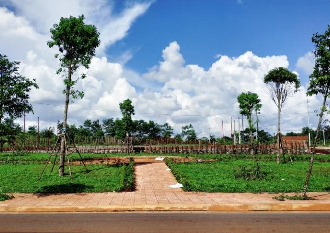 Bán đất tại Dự án Buôn Hồ Central Park, Buôn Hồ,  Đắk Lắk diện tích 148.54m2  giá 730 Triệu