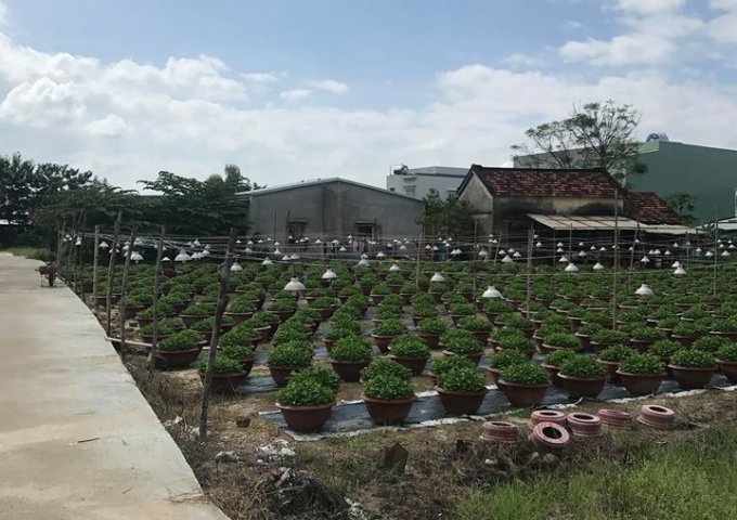 Bán đất nền dự án tại Xã Điện Ngọc, Điện Bàn,  Quảng Nam diện tích 93m2  giá 650 Triệu