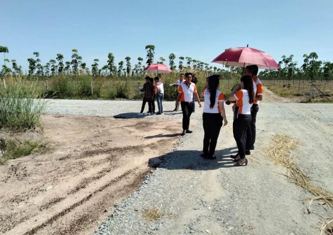 Nền đất ngay khu CN Becamex, dự án du lịch hồ sinh thái Phước Hòa SHR, giá chỉ 210tr/100m2
